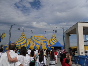 SDC10295