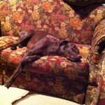 IMG_2041 IMG_2041