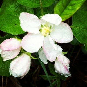 20130516-092009.jpg